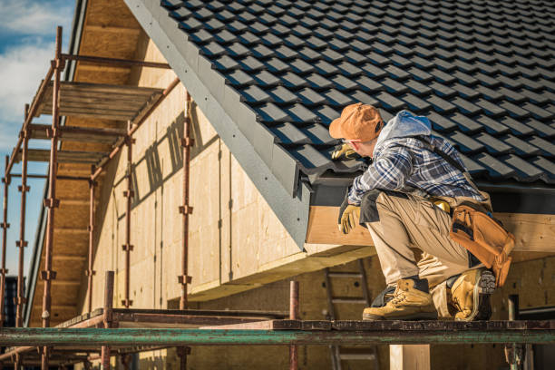 Best Gutter Installation and Repair  in Whitney, NV