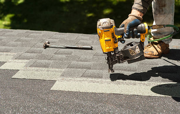Best Chimney Flashing Repair  in Whitney, NV